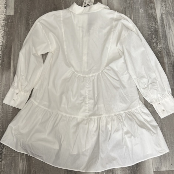 Zara Voluminous Poplin Dress - Picture 14 of 14